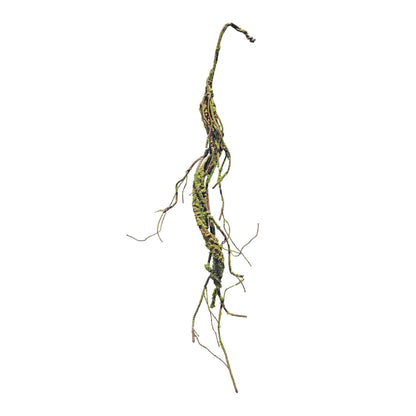 Mossy Twig Garland (Set of 2)