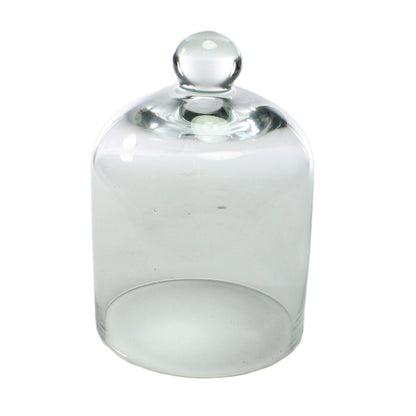 Glass Dome - Mini - Clear