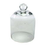 Glass Dome - Mini - Clear