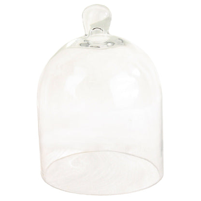 Glass Dome - Sm - Clear