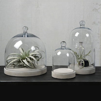Glass Dome - Sm - Clear