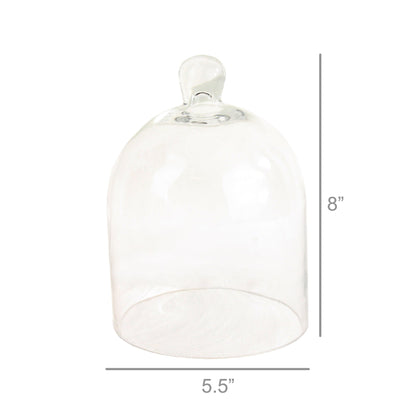 Glass Dome - Sm - Clear