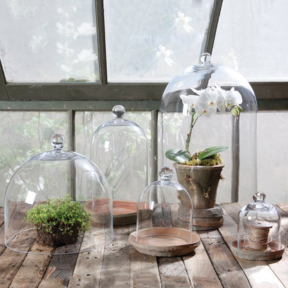 Glass Dome - Med - Clear