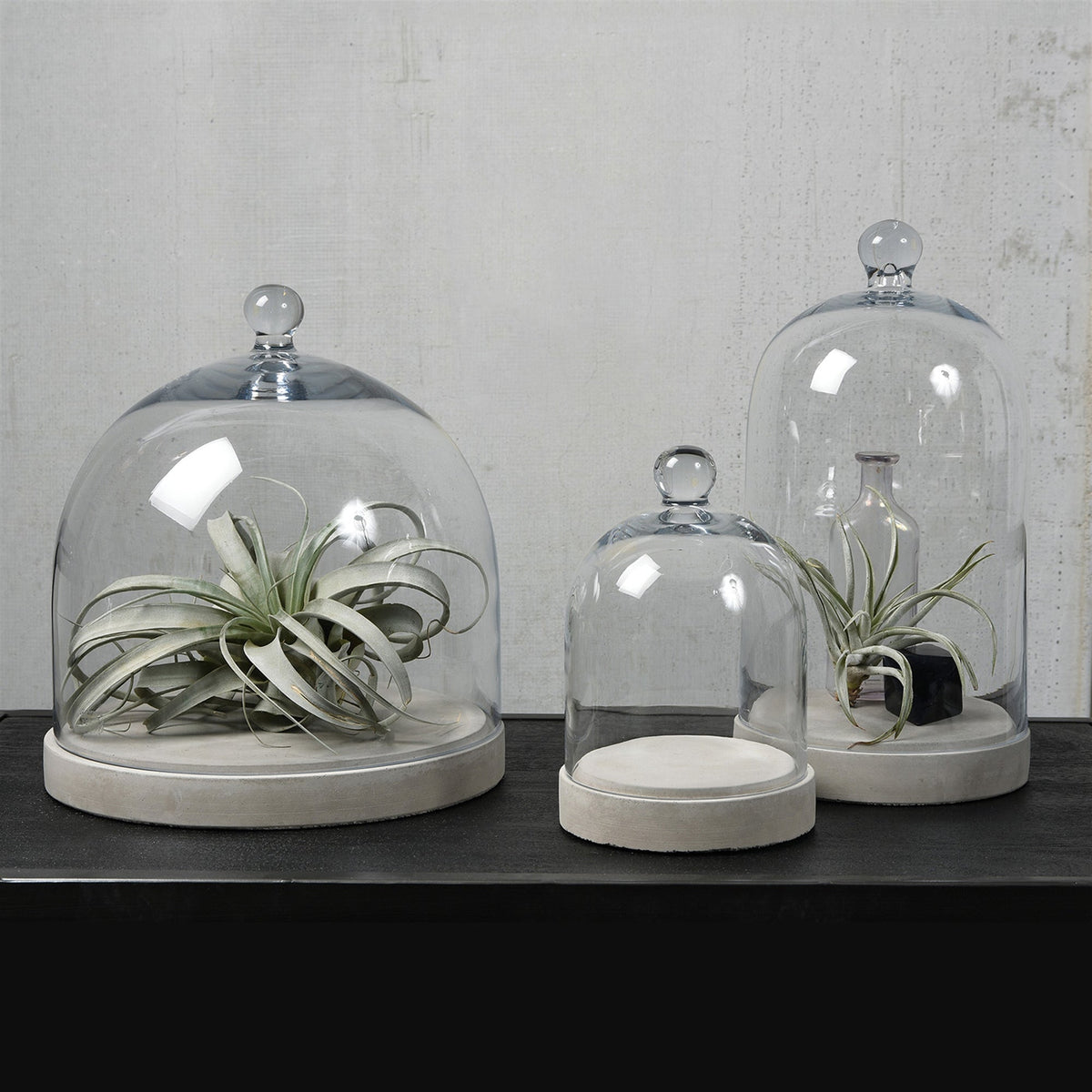 Glass Dome - Med - Clear