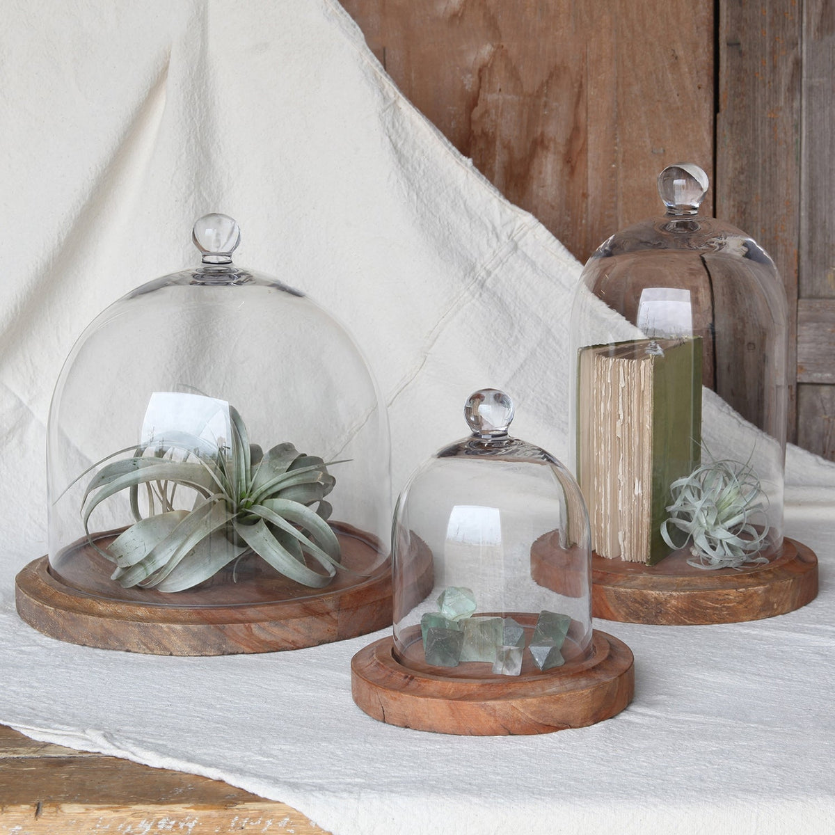 Glass Dome - Med - Clear