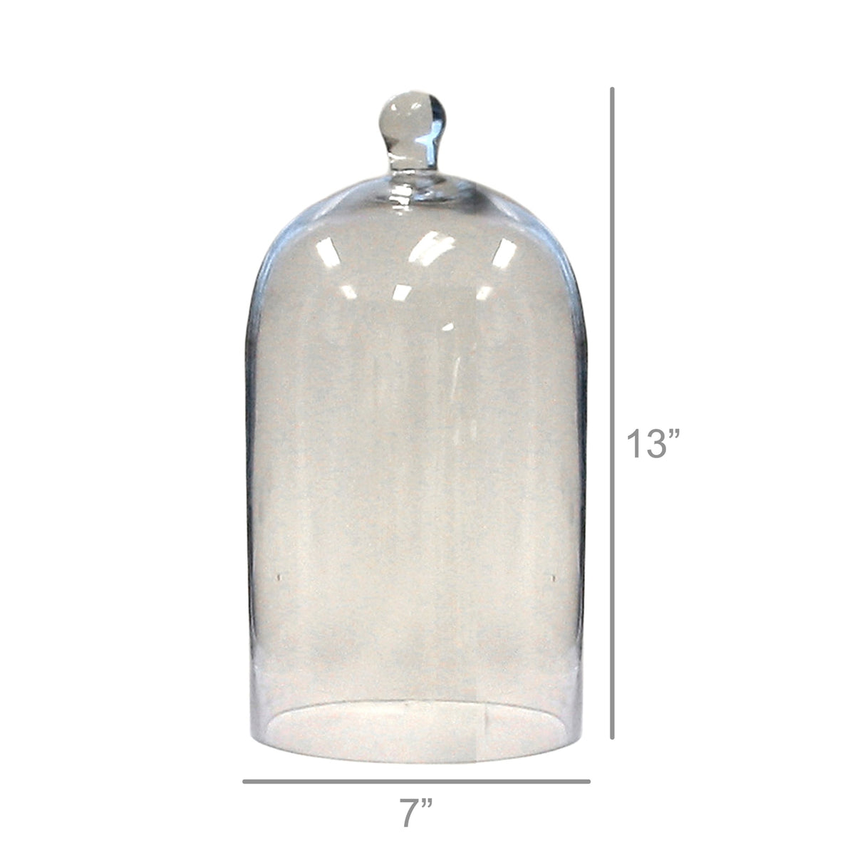 Glass Dome - Med - Clear