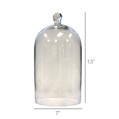 Glass Dome - Med - Clear